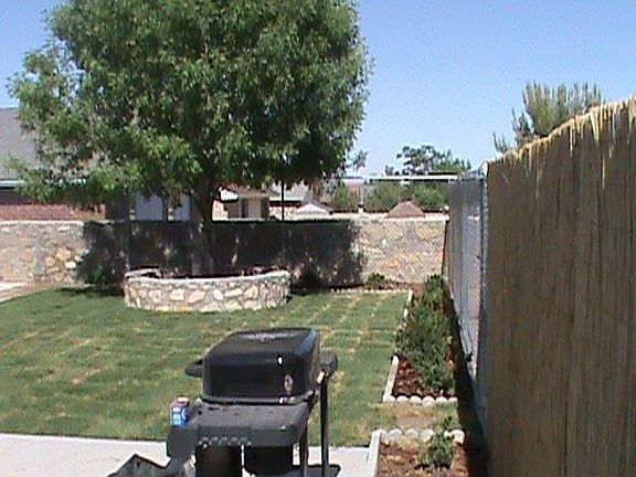 5th image of 12520 Martin Bauman Dr