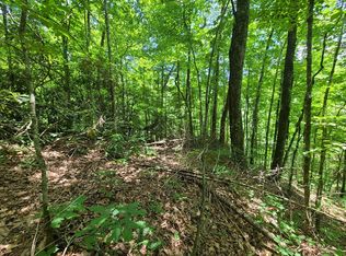 Yellow Breeches Rd, Cosby, TN 37722