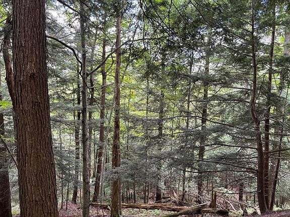 5th image of Jones Hill Rd