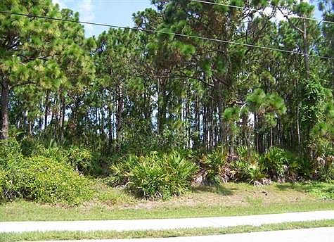 1st image of 447 Boundary Blvd