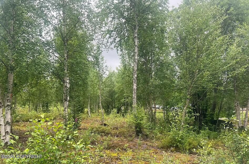 1st image of 4758 S Horseshoe Lake Rd