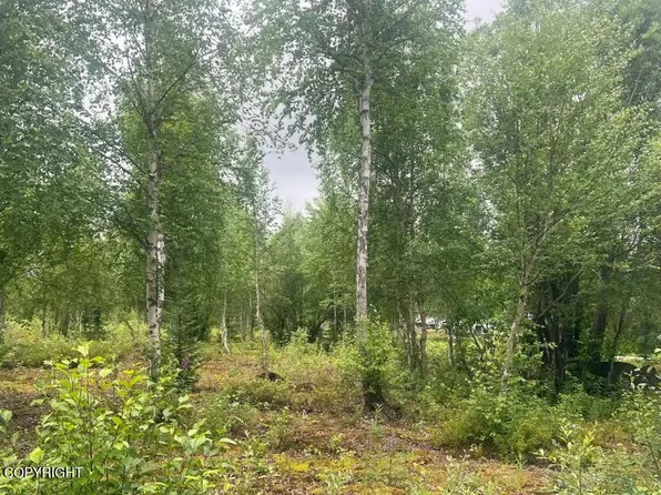 4758 S Horseshoe Lake Rd, Big Lake, AK 99623