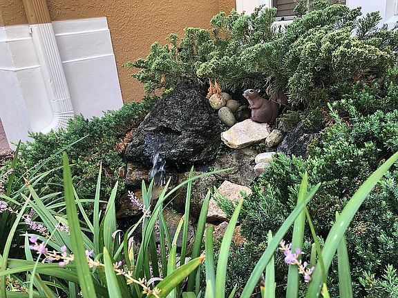 Front yard waterfall