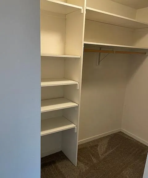 370 Sky Oaks Dr — Photo 11