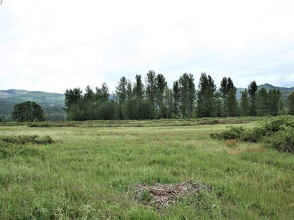 5th image of McKenzie Hwy