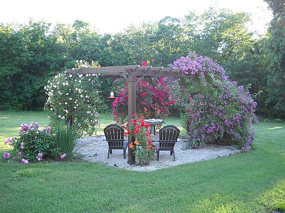 Rose Pergola