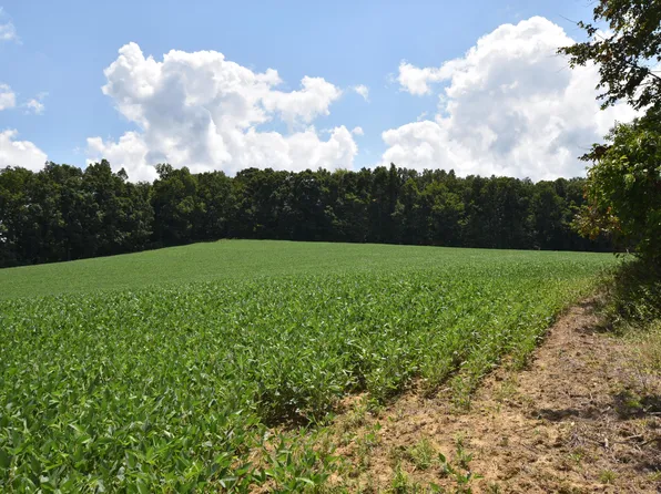 0 Beechy Creek Rd #0, Wallingford, KY 41093