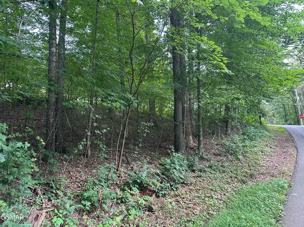 75 Highpoint Dr, Sevierville, TN 37876