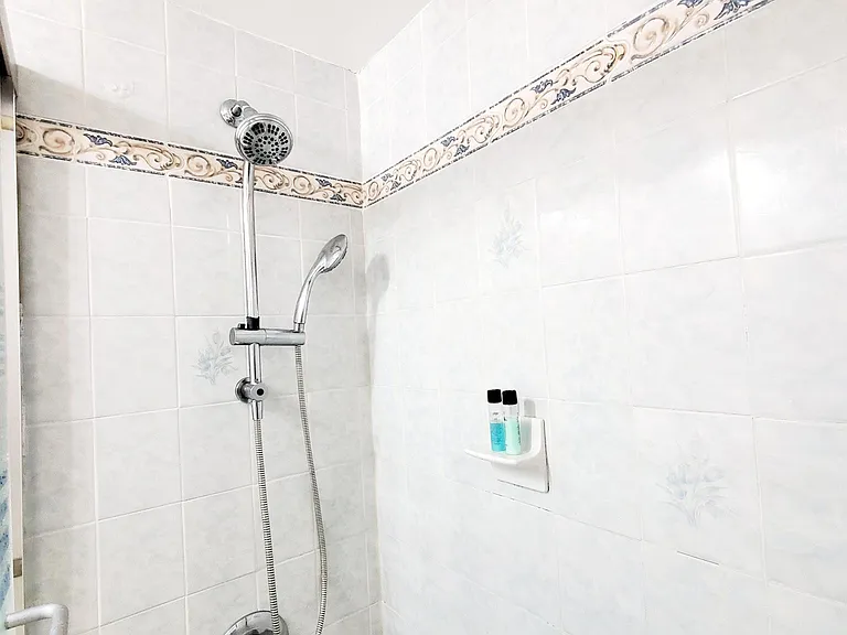 Master bedroom bathroom shower