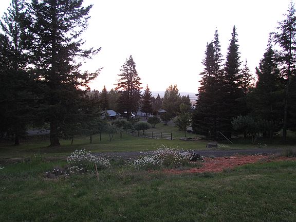Looking down into orchard