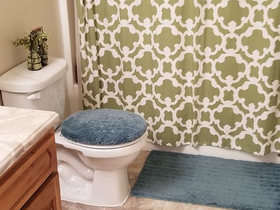 4th image of 110 Picnic Ln