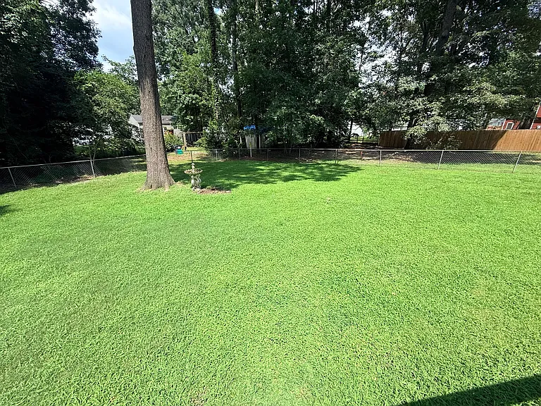 Gorgeous, fully fenced in backyard!