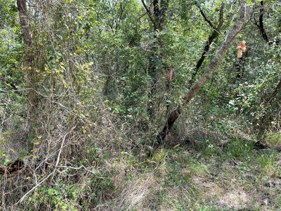 County Road 1524 #U1, Morgan, TX, 76671