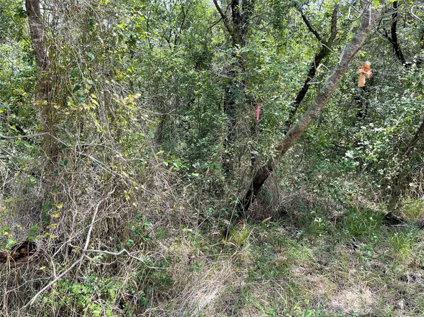 County Road 1524 #U1, Morgan, TX 76671