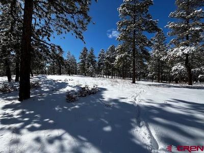 91 Log Cabin Lane, Bayfield, CO, 81122
