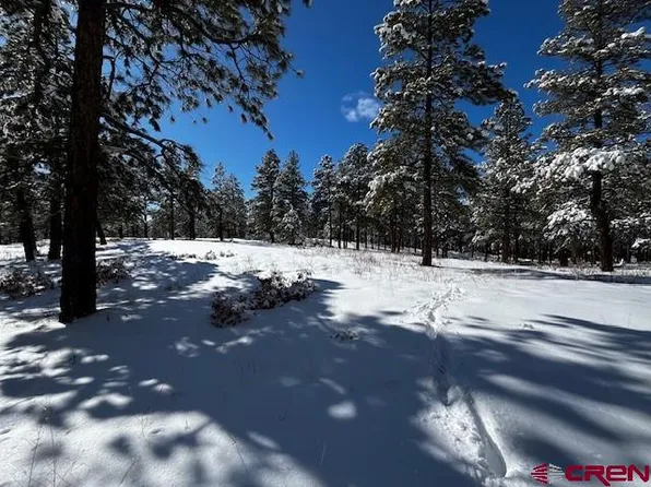 91 Log Cabin Lane, Bayfield, CO 81122