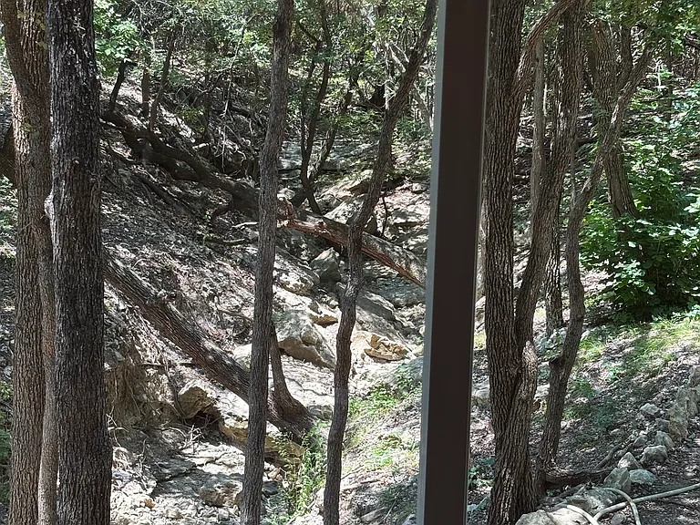 View from Living Kitchen of Ravine