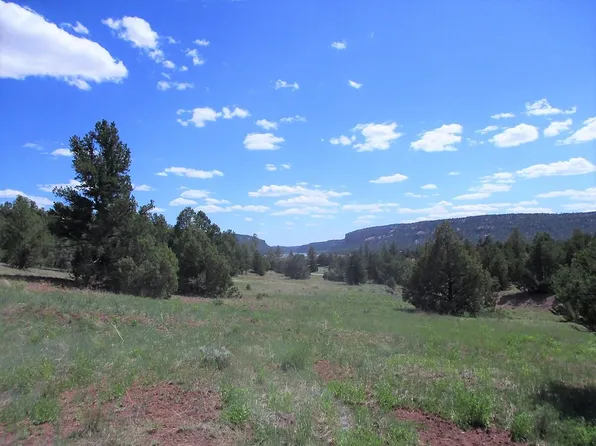 14 Buttonwood Dr, Ramah, NM 87321