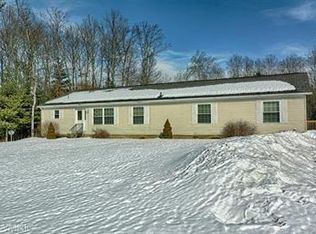 10010 S Bittersweet Ave, Grant, MI 49327