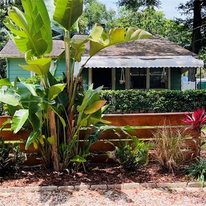 8718 N Ashley St, Tampa, FL, 33604