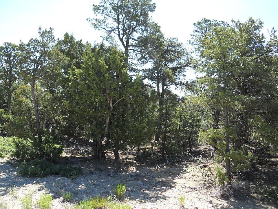 1st image of 8 Cresta Vista Ct