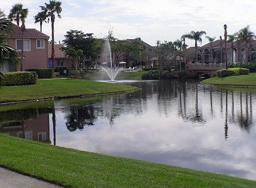 lake view