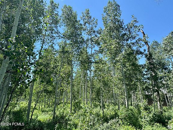 4th image of 11516 E Marigold Ln Lot 1679