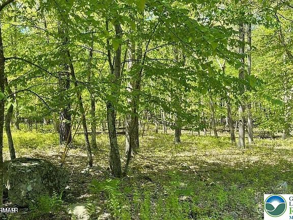 4th image of 24 Green Meadow Dr