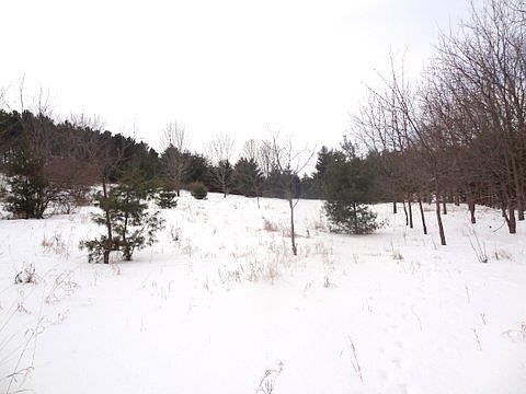 4th image of 0 Highway 51
