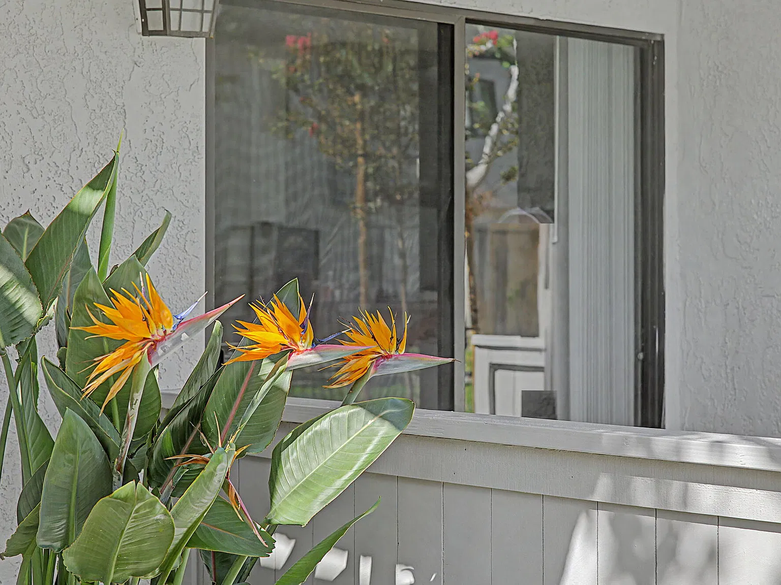 Wallace Court Apartments — Photo 3