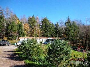 320 Reuben Todd Rd, Delhi, NY 13753