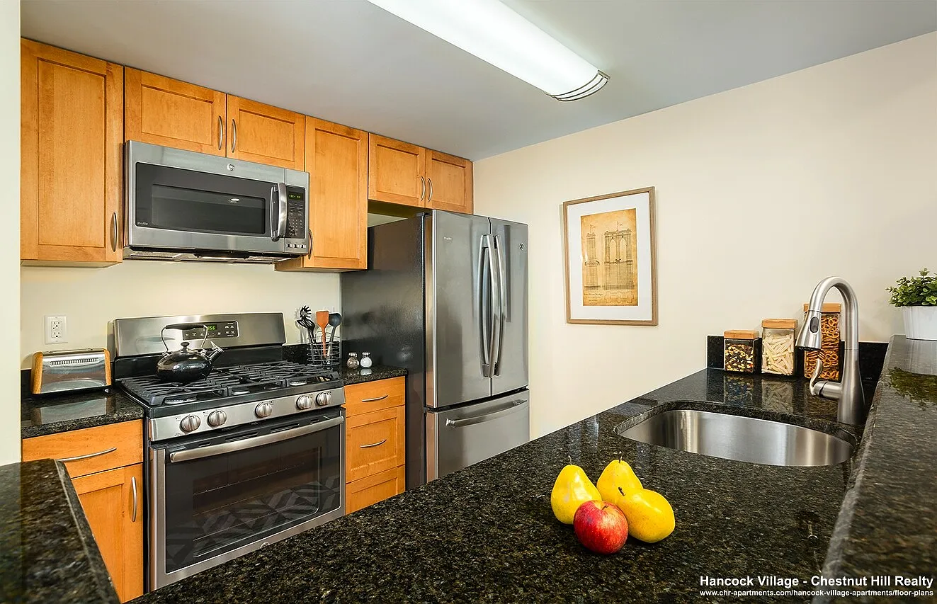 2 bed, 911 sqft, $3,695 — Photo 2