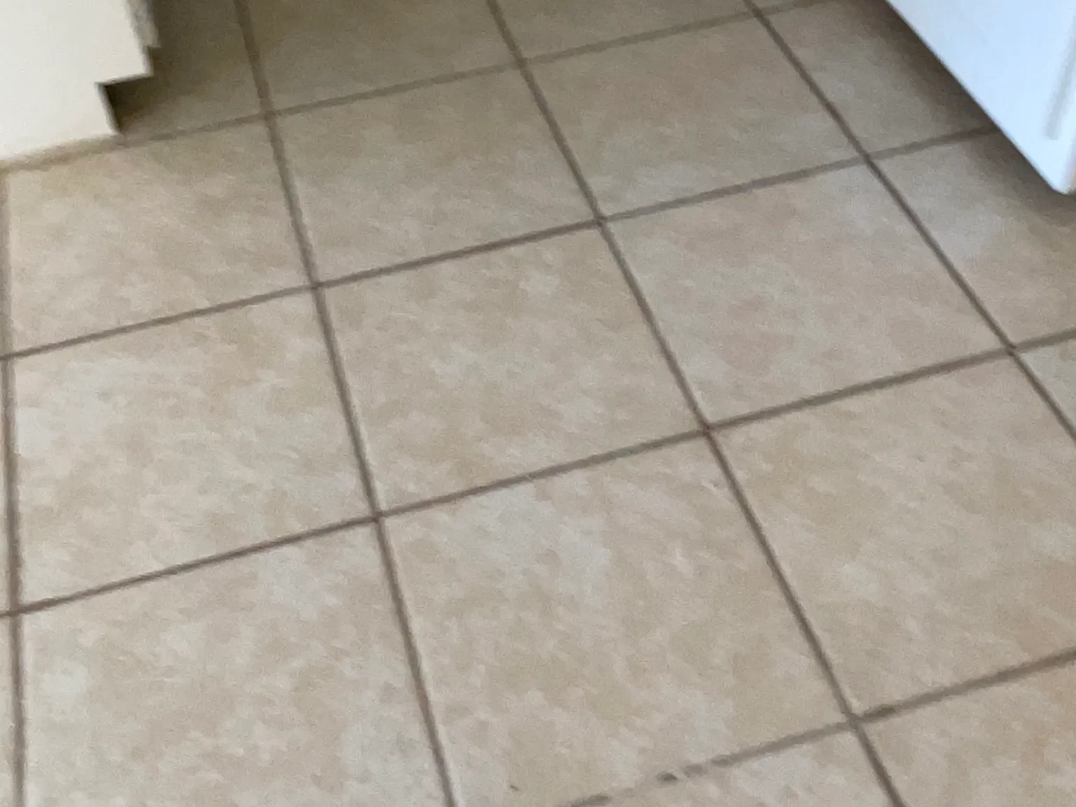 2 bed, 1200 sqft, $2,000 — Photo 3