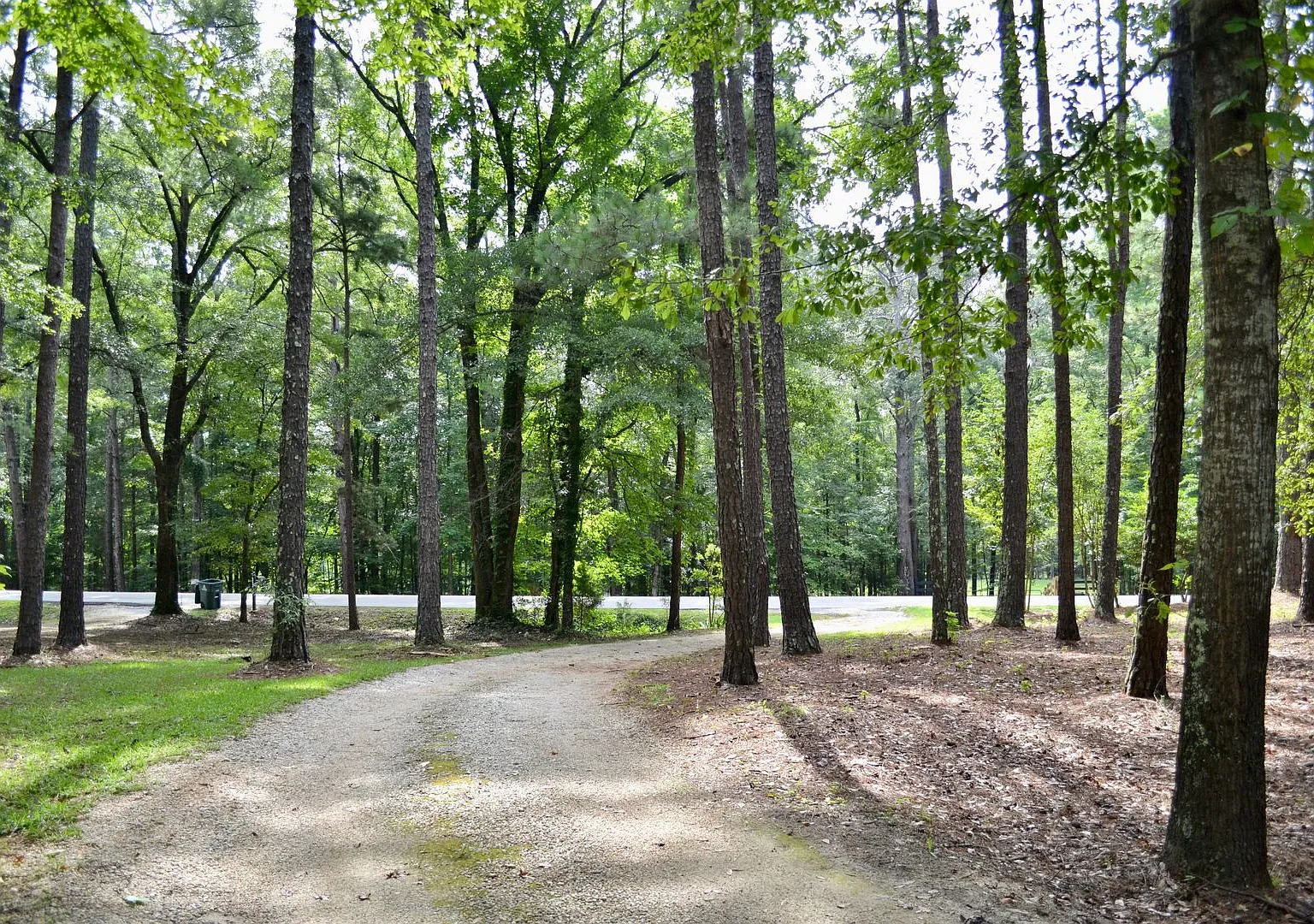 Rare Find: 5-Acre Retreat For Rent in Prime Auburn Location — Photo 2