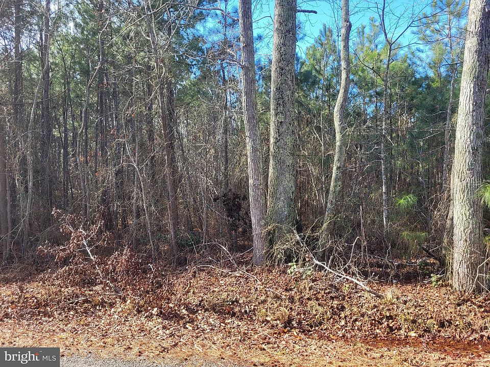 2nd image of 0-00 E Bogey Neck Rd