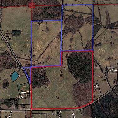 Optional parcels (blue)