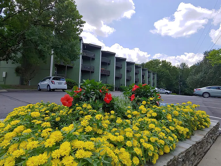 Sunrise Apartments — Photo 48