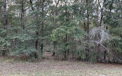 2nd image of 319 NW Country Lake Dr