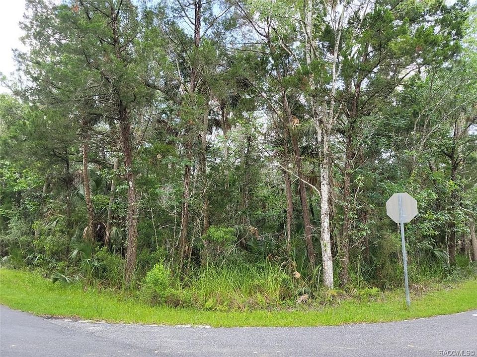 2nd image of 11012 W Bareto Ln