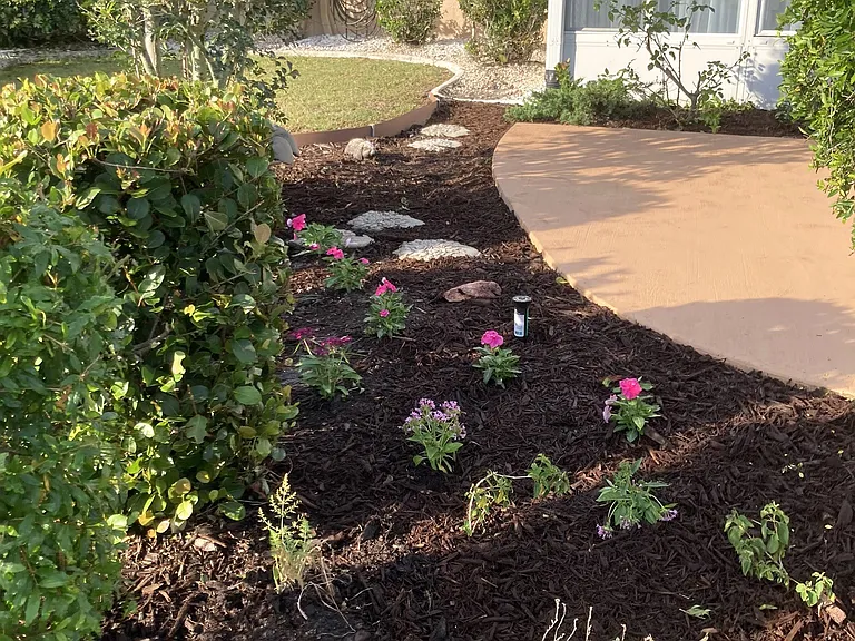 Patio garden area