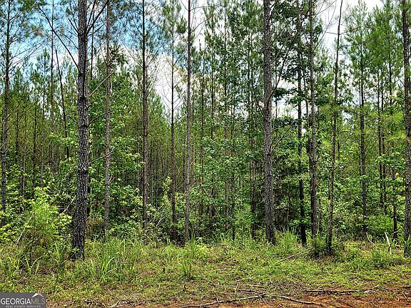 4th image of 0 State Highway 42 S Lot 4