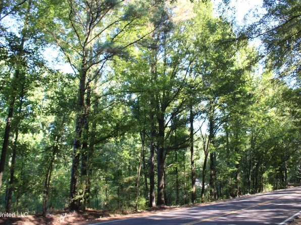 799 Rader Creek Rd, Sarah, MS 38665