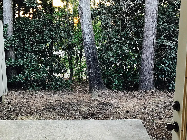 back patio