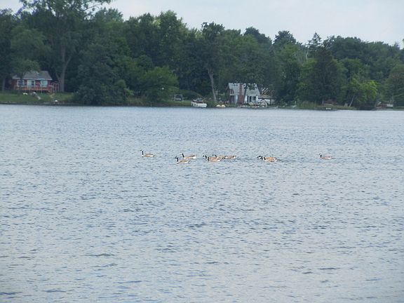 5th image of 4146 Island Park Dr