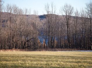 LOT 2 Hall Rd LOT 2, Erieville, NY 13061