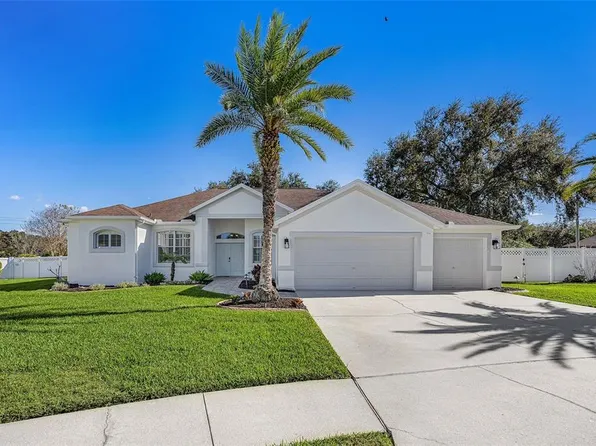 2808 Duncan Tree Cir, Valrico, FL 33594