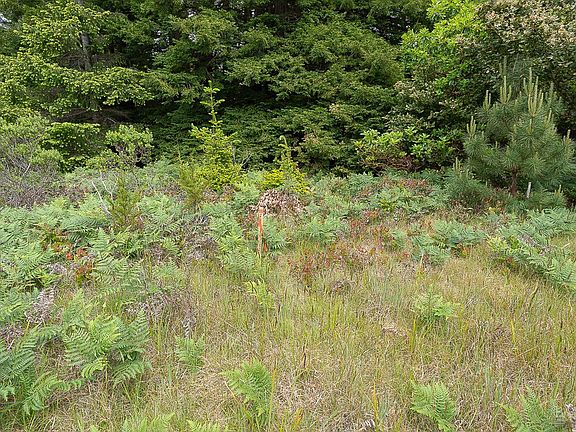4th image of 41478 Deer Trail