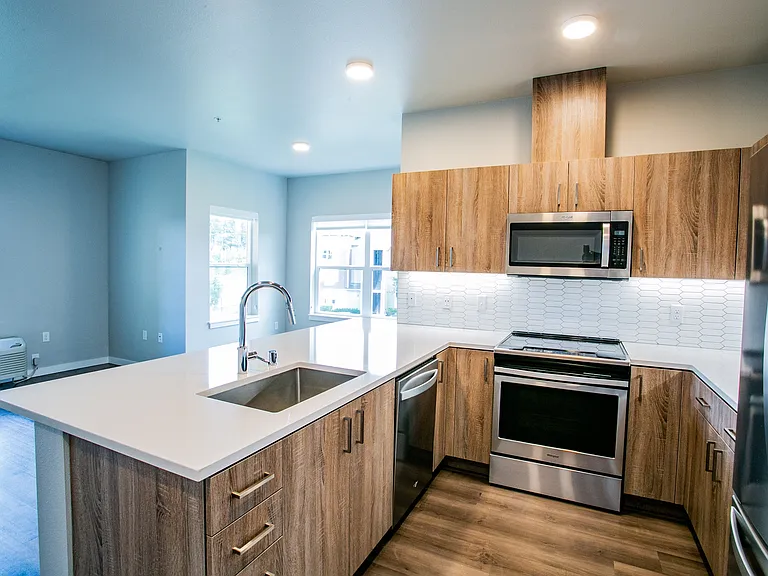 Stainless Steel Appliances