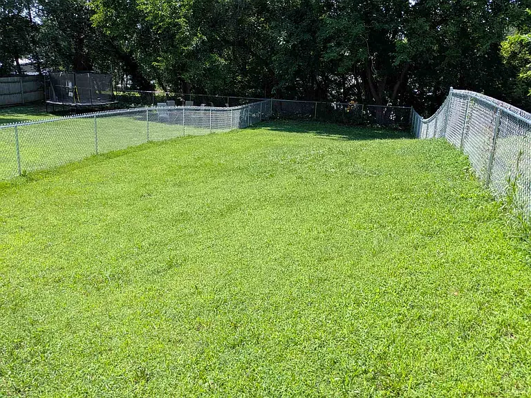 Fenced Back Yard