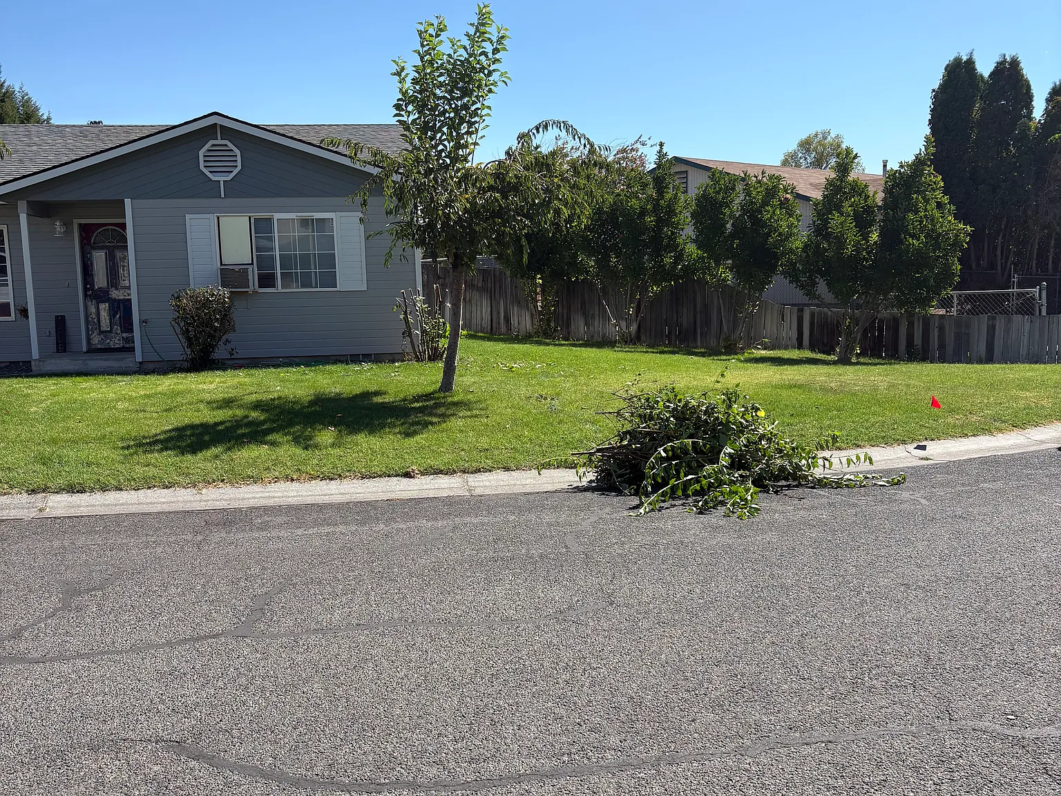 3 bed, 1.5 bath, 1331 sqft, $2,000 — Photo 3
